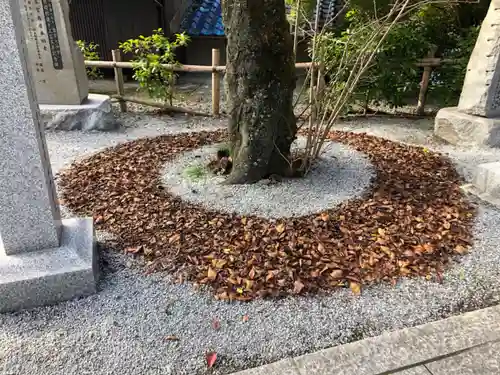 出雲大神宮の庭園