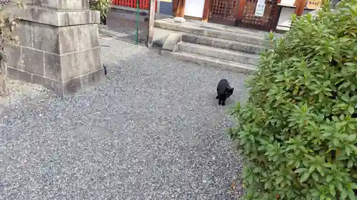 鎌達稲荷神社(京都府)