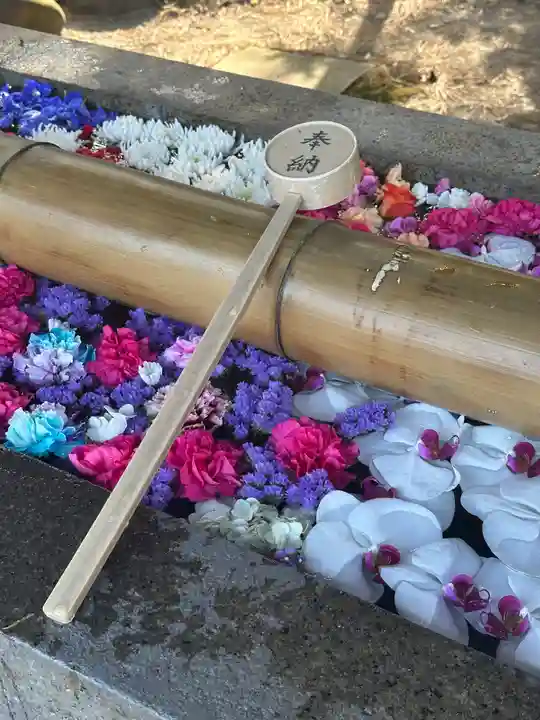 群馬県護国神社(群馬県)