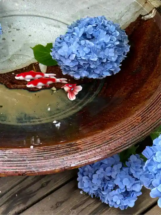 明月院(神奈川県)