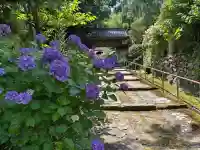 本興寺(石川県)