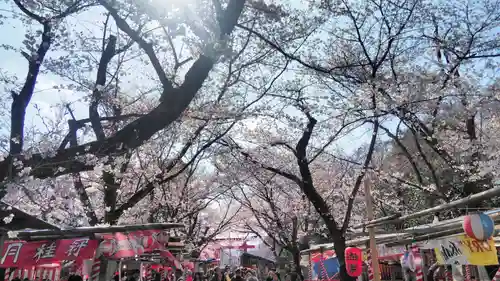 平野神社の庭園