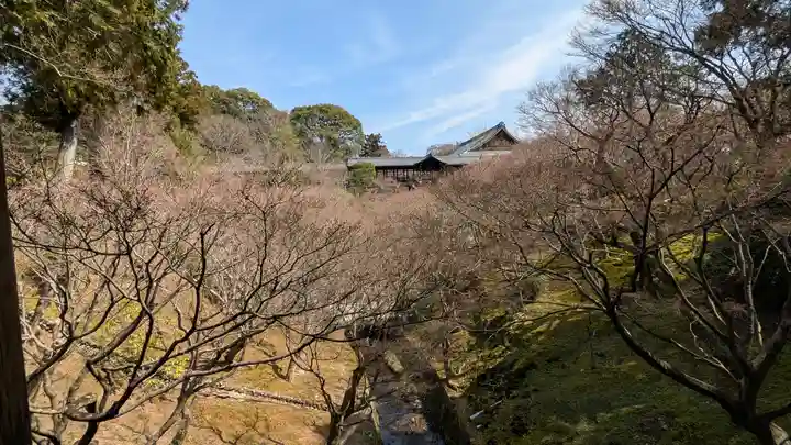 勝林寺(京都府)