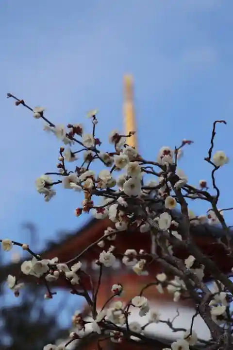 中山寺(兵庫県)