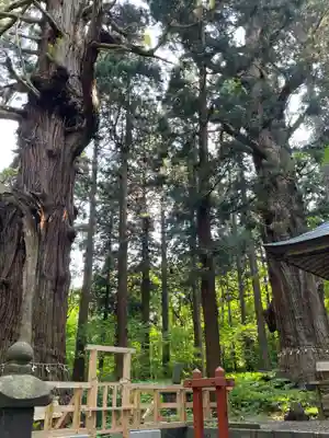 巖鬼山神社(青森県)