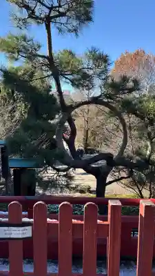 清水観音堂(東京都)