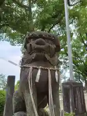 四山神社の狛犬