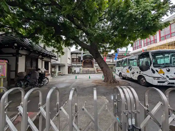 観智院(東京都)