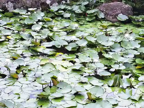 西光寺(長崎県)