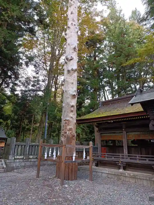 諏訪大社下社春宮の自然