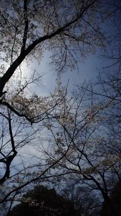 平野神社(京都府)