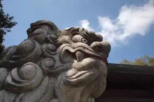 宇都宮二荒山神社の狛犬