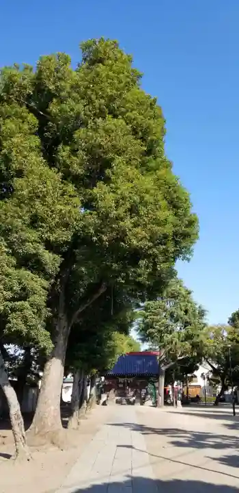 天祖神社のその他建物