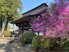 妙蓮寺(静岡県)