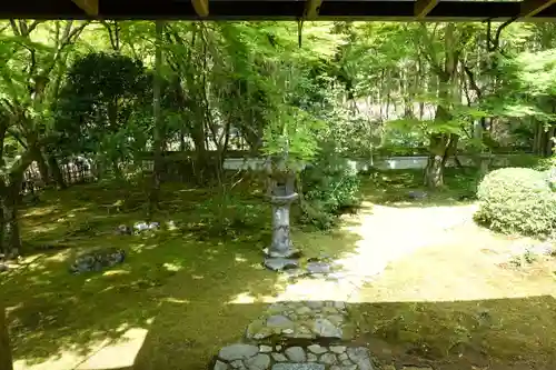 高山寺の庭園