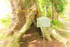 日高見神社(宮城県)