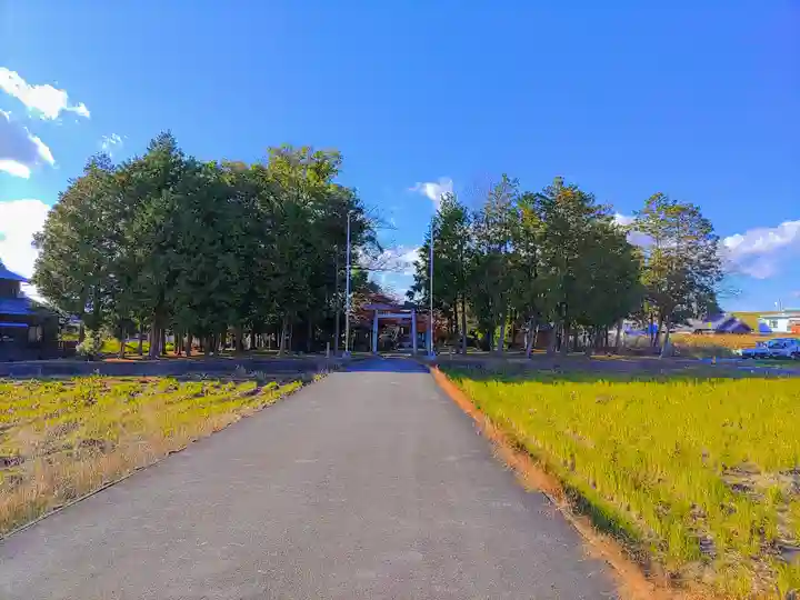 神明社(上祖父江)の自然