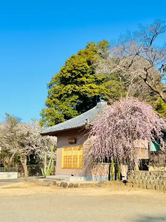 慈恩寺の{uncategorized: "未分類", other: "その他", undefined: "問題あり", building: "その他建物", grave: "お墓", sacred_gate: "鳥居", guardian: "狛犬", statue: "像", buddha: "仏像", history: "歴史", nature: "自然", garden: "庭園", animal: "動物", pagoda: "塔", temizu: "手水舎", mountain_gate: "山門・神門", sanctuary: "本殿・本堂", subordinate: "末社・摂社", art: "芸術", scenery: "景色", jizo: "地蔵", ema: "絵馬", goshuin: "御朱印", omikuji: "おみくじ", items: "授与品その他", amulet: "お守り", goshuincho: "御朱印帳", eats: "食事", festival: "お祭り", votive_dance: "神楽", shichigosan: "七五三参", wedding: "結婚式", experience: "体験その他", initially: "初詣", around: "周辺", anti_infection: "感染症対策"}