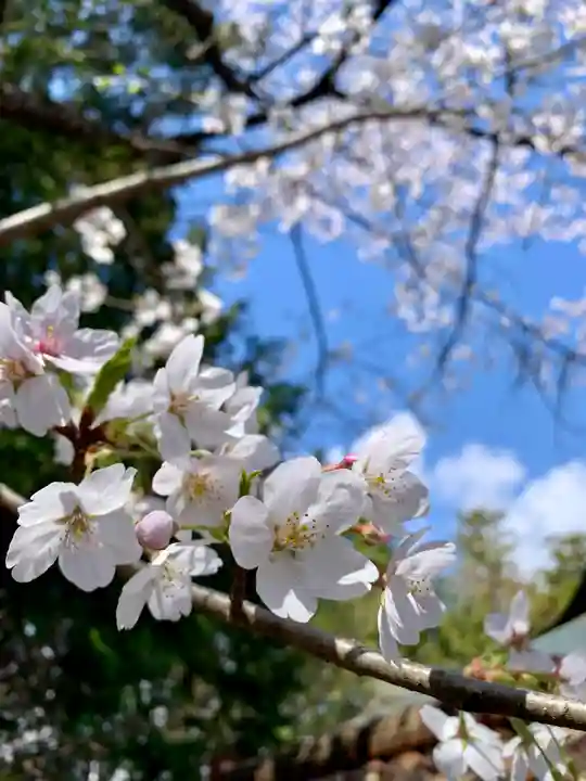 滑川神社 - 仕事と子どもの守り神(福島県)