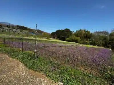 比々多神社の{uncategorized: "未分類", other: "その他", undefined: "問題あり", building: "その他建物", grave: "お墓", sacred_gate: "鳥居", guardian: "狛犬", statue: "像", buddha: "仏像", history: "歴史", nature: "自然", garden: "庭園", animal: "動物", pagoda: "塔", temizu: "手水舎", mountain_gate: "山門・神門", sanctuary: "本殿・本堂", subordinate: "末社・摂社", art: "芸術", scenery: "景色", jizo: "地蔵", ema: "絵馬", goshuin: "御朱印", omikuji: "おみくじ", items: "授与品その他", amulet: "お守り", goshuincho: "御朱印帳", eats: "食事", festival: "お祭り", votive_dance: "神楽", shichigosan: "七五三参", wedding: "結婚式", experience: "体験その他", initially: "初詣", around: "周辺", anti_infection: "感染症対策"}