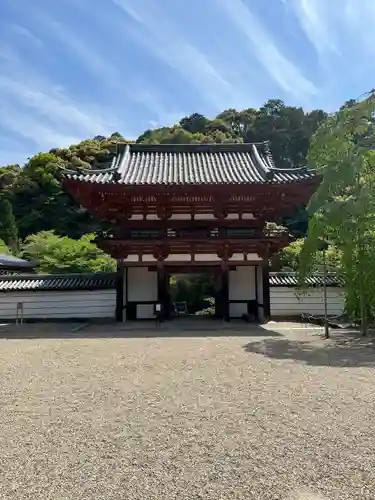 金剛寺(大阪府)