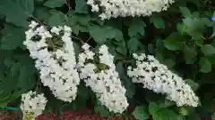 磯山神社の自然