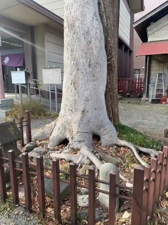 日野八坂神社(東京都)