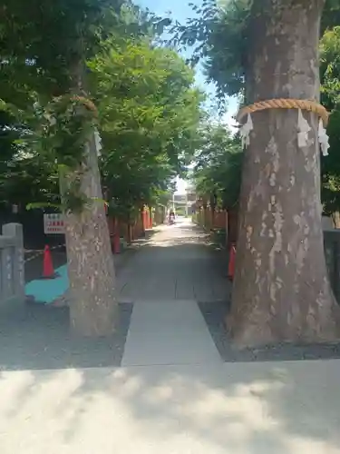 川越八幡宮(埼玉県)