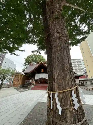 北海道神宮頓宮(北海道)