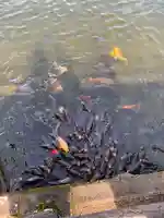 池神社(奈良県)