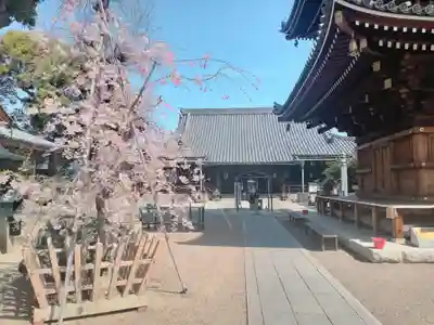 法楽寺(大阪府)