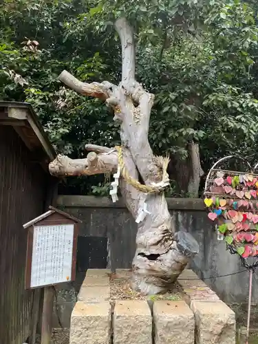 三田天満宮(兵庫県)