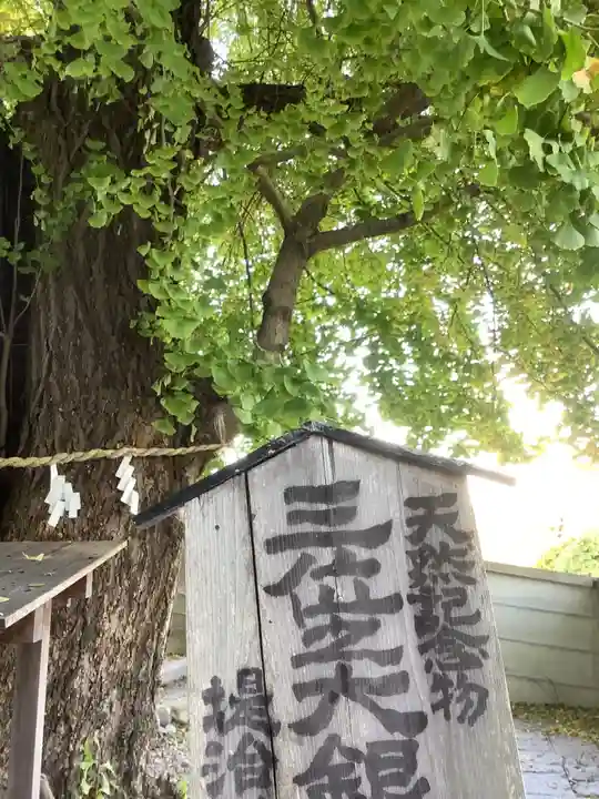 堤治神社の自然