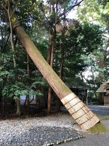 伊雜宮（皇大神宮別宮）の自然