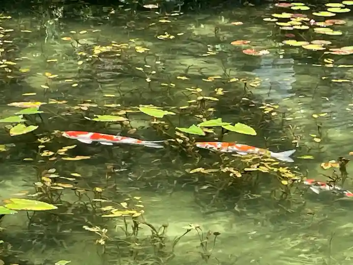 根道神社(岐阜県)