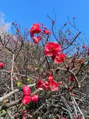 冠稲荷神社(群馬県)