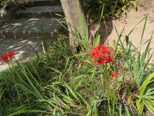 開成山大神宮(福島県)