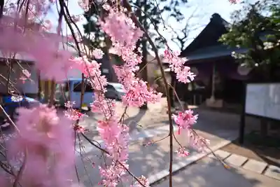 猿田彦神社(東京都)