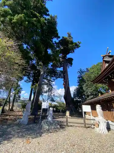 八幡宮の狛犬