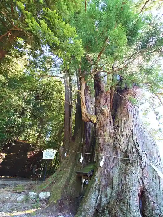 萩日吉神社(埼玉県)