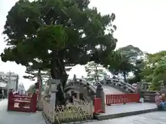 鶴岡八幡宮の建物その他