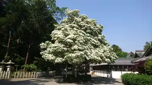 沙沙貴神社(滋賀県)
