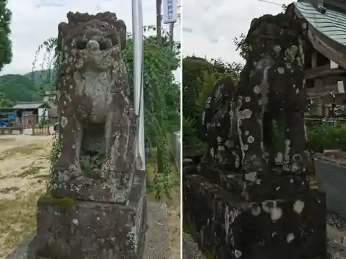 佐俣阿蘇神社の狛犬