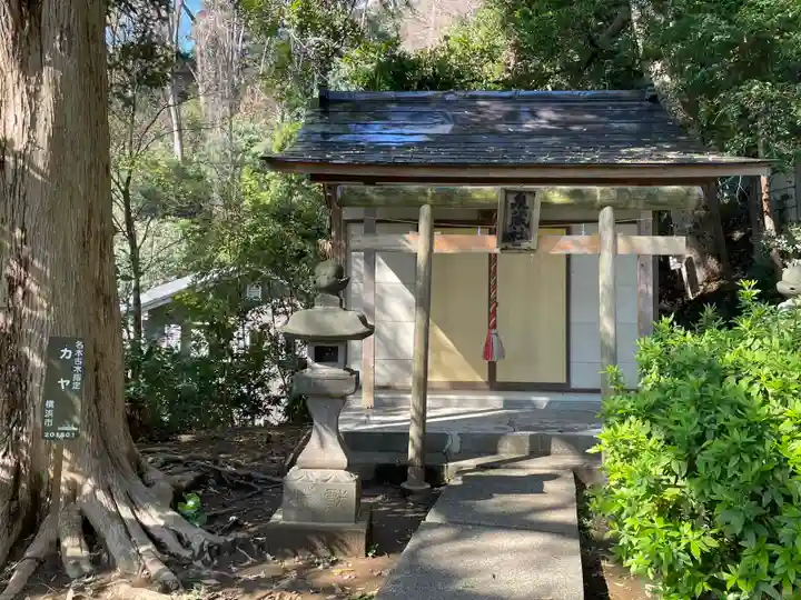 熊野神社(杉田・中原)(神奈川県)