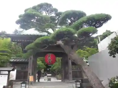 長谷寺の山門・神門