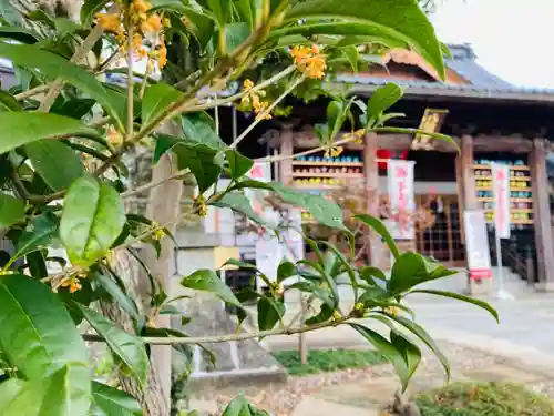 總社 和田八幡宮の建物その他