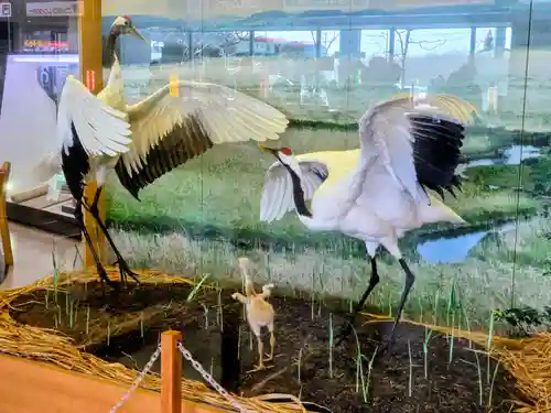 阿寒神社(北海道)