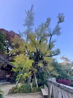 葛城一言主神社(奈良県)