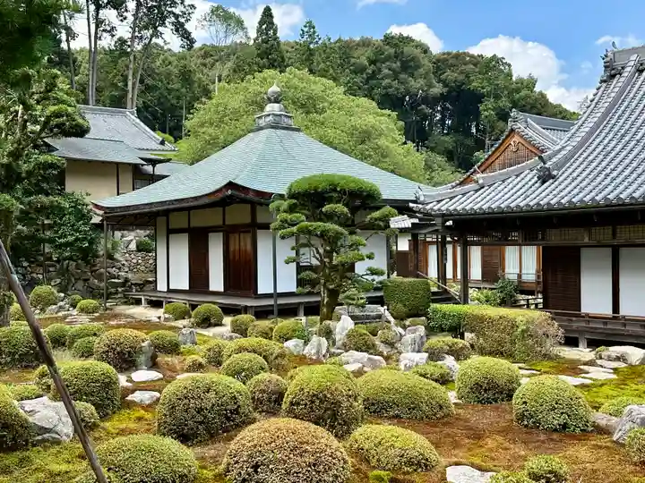 金剛寺の庭園