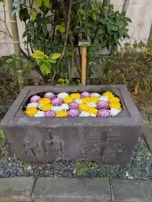 回向院(東京都)